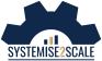 Systemise 2 Scale